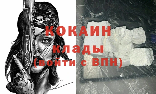 мдпв Дмитриев
