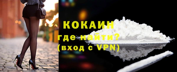 мдпв Дмитриев