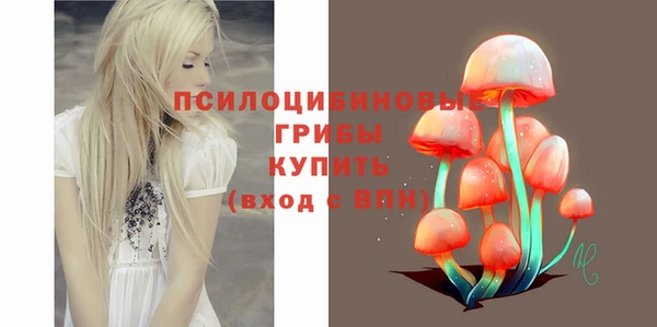 мдпв Дмитриев