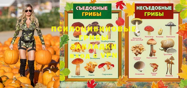 мдпв Дмитриев