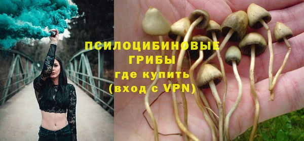 ALPHA PVP Дмитров