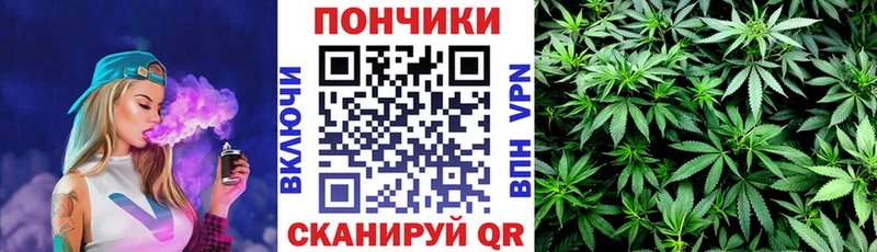 Купить  Кстово  Шишки марихуана SATIVA & INDICA 